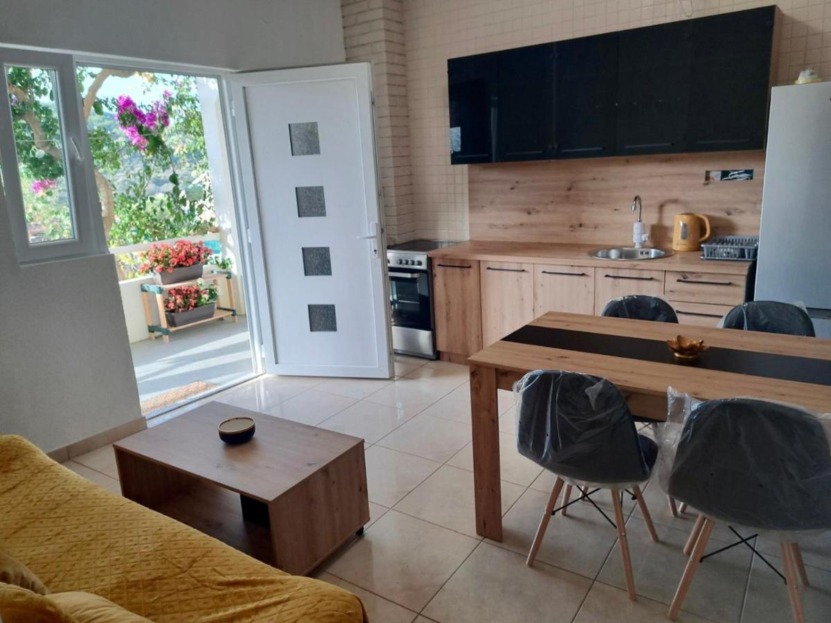 Apartment Vujcic Donji Okrug  エクステリア 写真